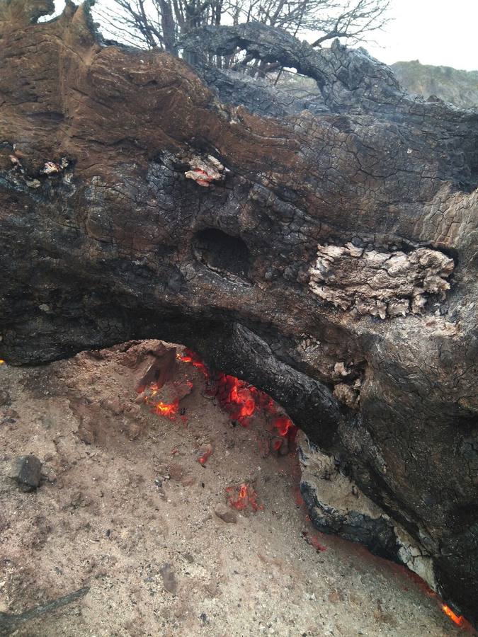 El fuego se ha originado en un área recreativa entre Pendes y Cabañes