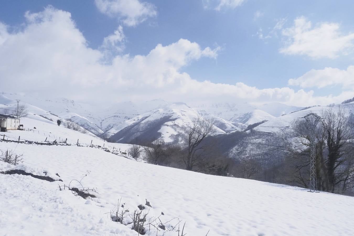 Los temporales de las últimas semanas han transformado los paisajes del interior de la región, que aparecen cubiertos por una espesa capa de nieve.