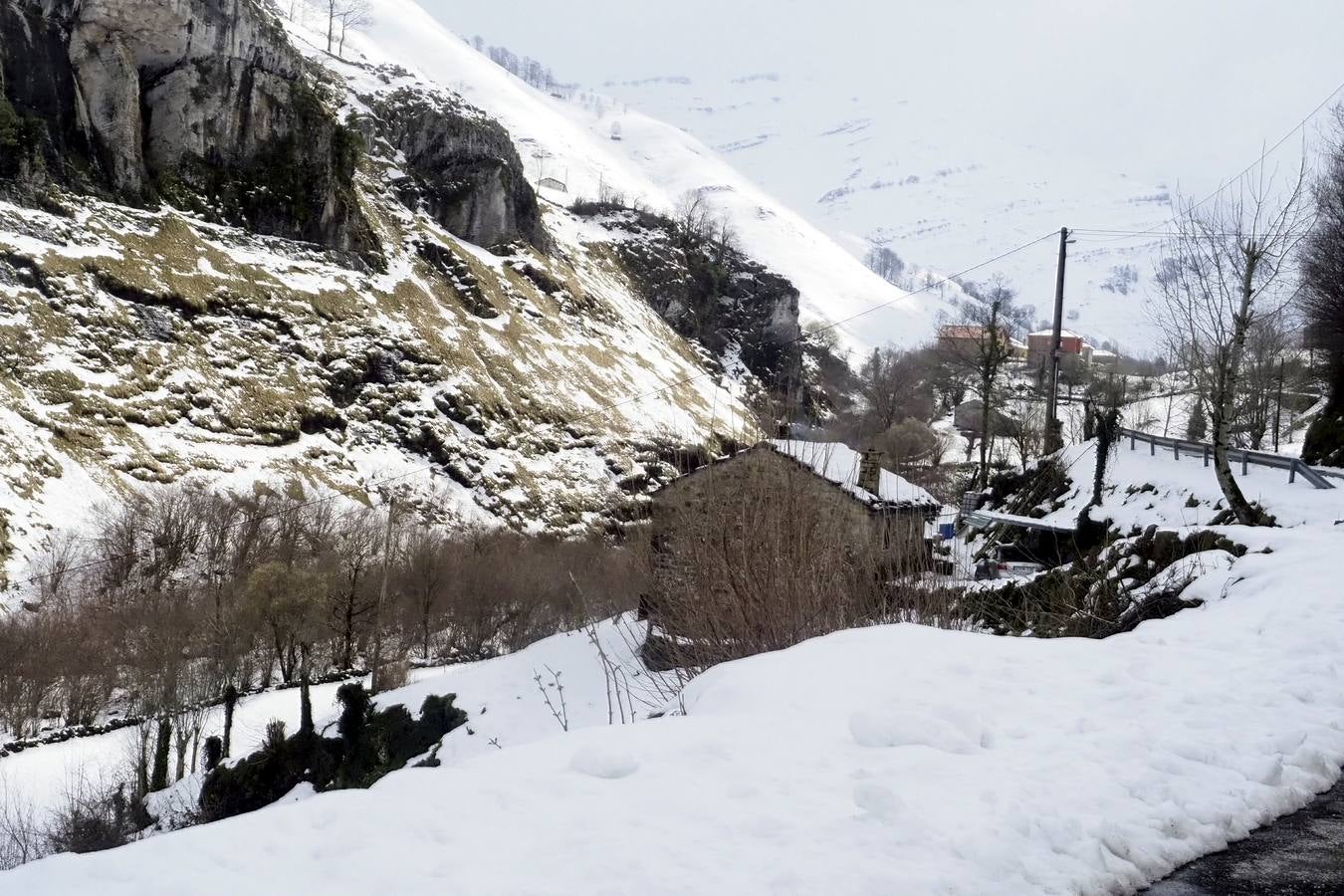 Los temporales de las últimas semanas han transformado los paisajes del interior de la región, que aparecen cubiertos por una espesa capa de nieve.