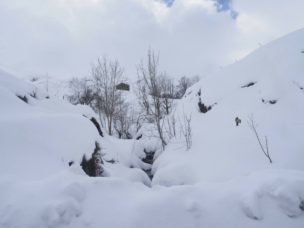 Los temporales de las últimas semanas han transformado los paisajes del interior de la región, que aparecen cubiertos por una espesa capa de nieve.