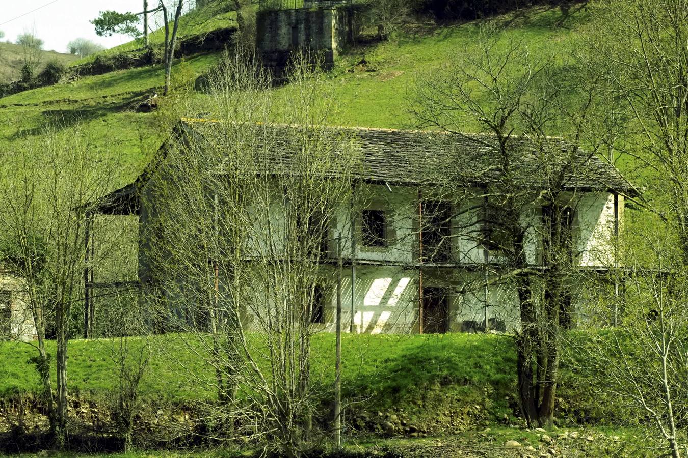 Tras el duro invierno que dejó media Cantabria bajo la nieve, con la llegada de la primavera el verde recobra su protagonismo en la región,