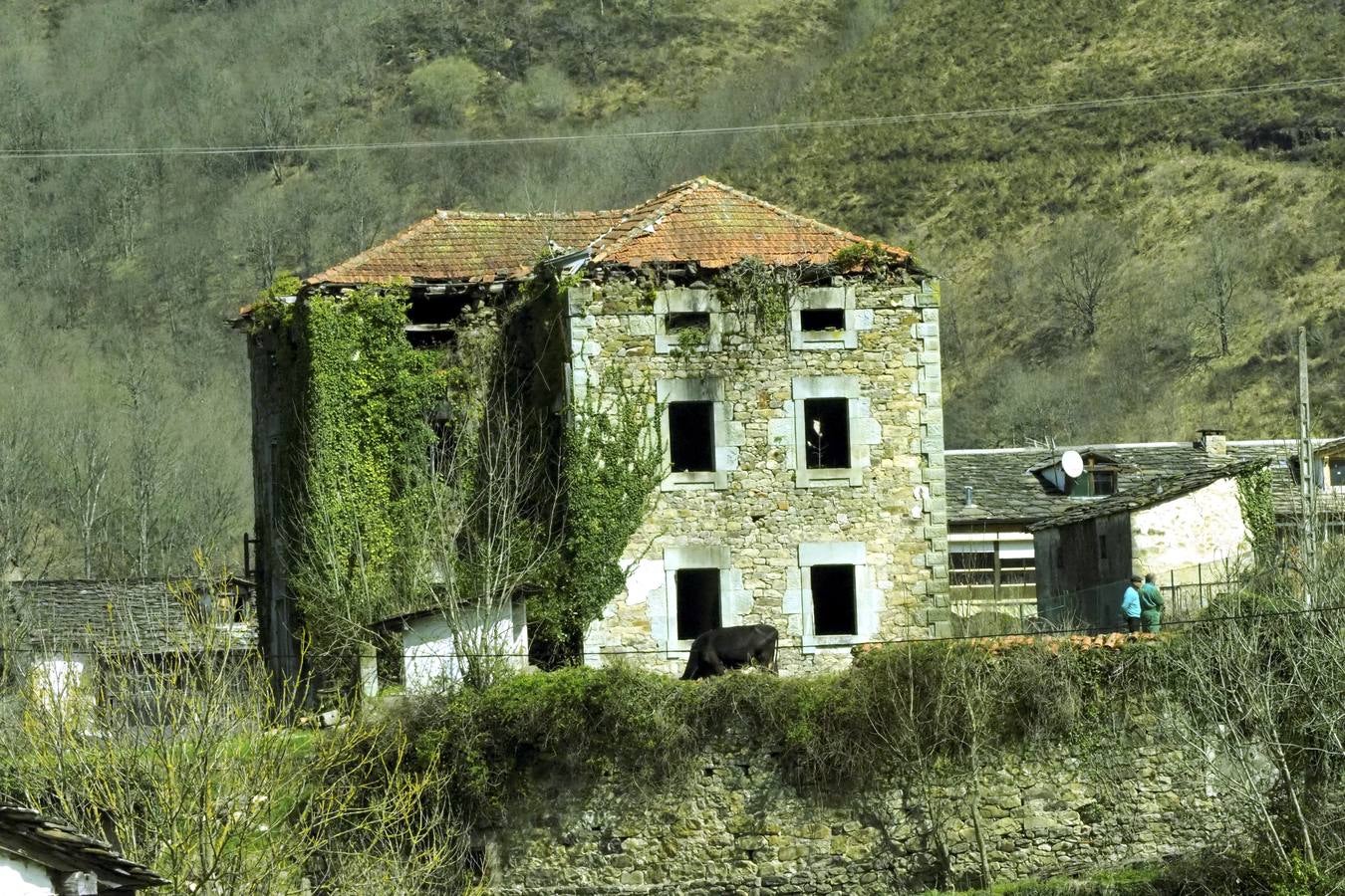 Tras el duro invierno que dejó media Cantabria bajo la nieve, con la llegada de la primavera el verde recobra su protagonismo en la región,