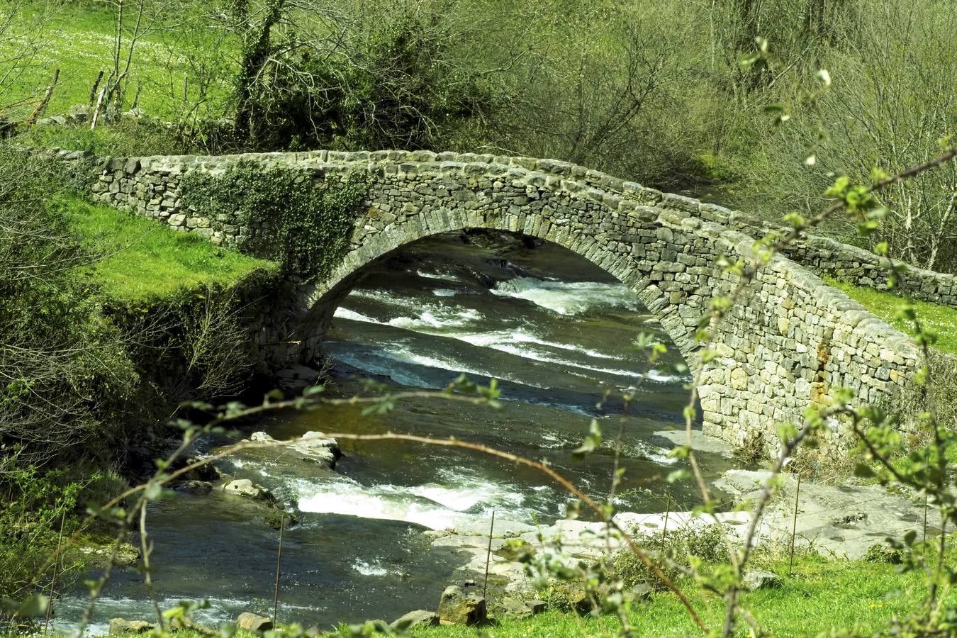 Tras el duro invierno que dejó media Cantabria bajo la nieve, con la llegada de la primavera el verde recobra su protagonismo en la región,