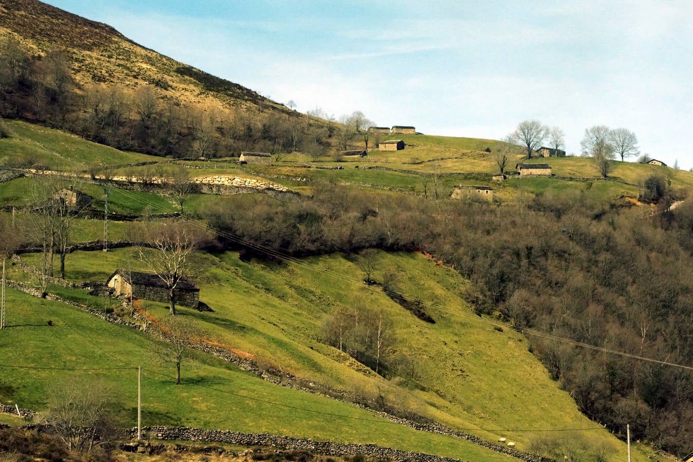 Tras el duro invierno que dejó media Cantabria bajo la nieve, con la llegada de la primavera el verde recobra su protagonismo en la región,