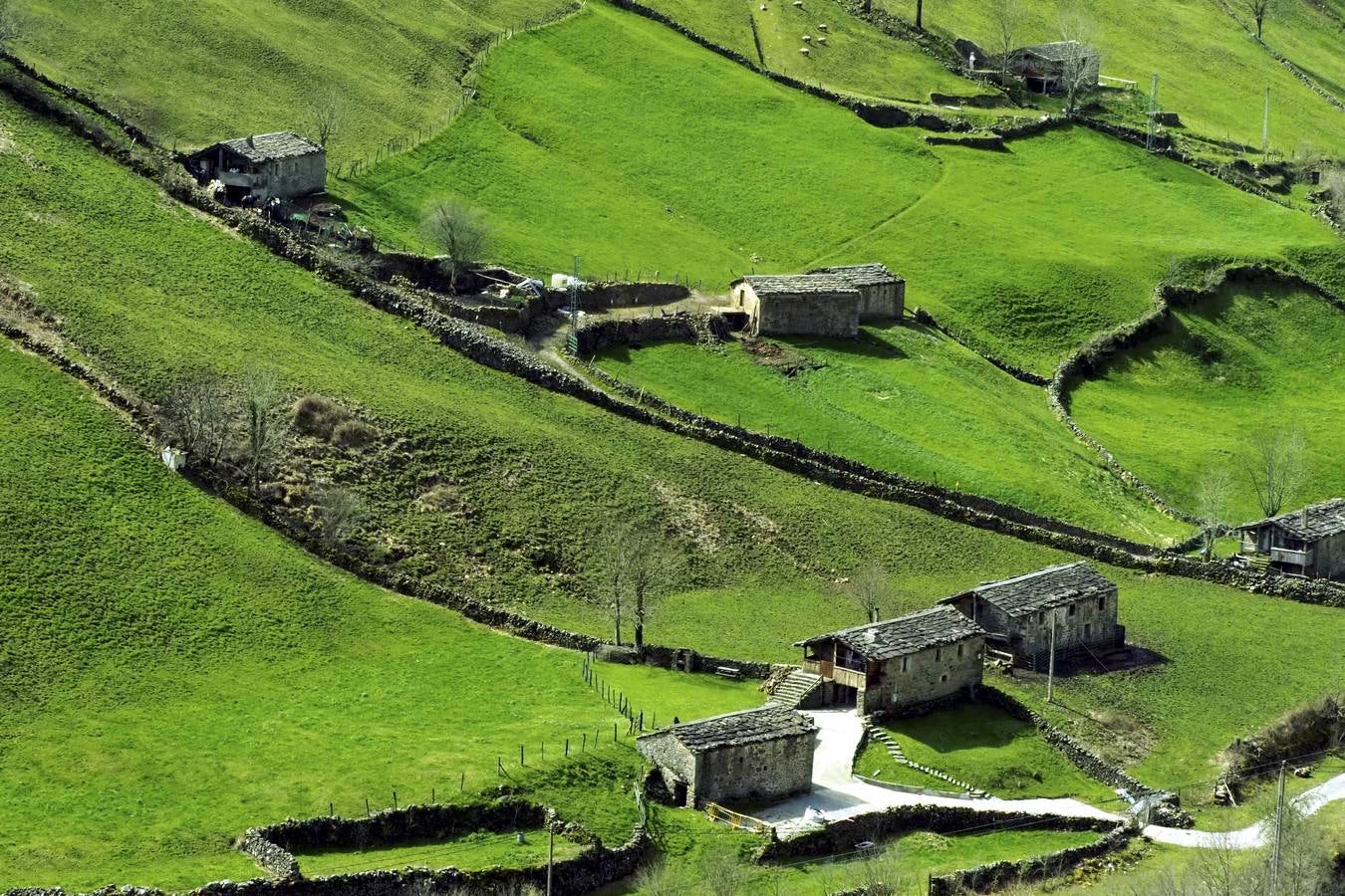 Tras el duro invierno que dejó media Cantabria bajo la nieve, con la llegada de la primavera el verde recobra su protagonismo en la región,