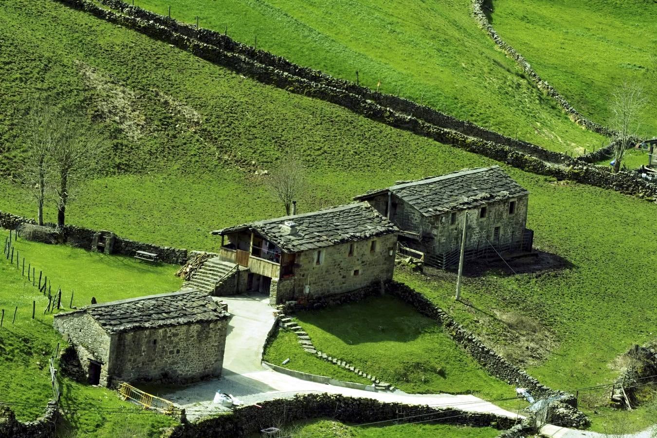 Tras el duro invierno que dejó media Cantabria bajo la nieve, con la llegada de la primavera el verde recobra su protagonismo en la región,