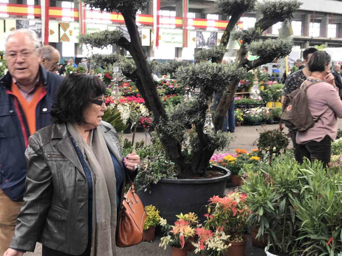 El Mercado Nacional de Ganados se convierte este fin de semana en un gran vivero de árboles y plantas, que transforman el ferial de Torrelavega en un espacio verde.
