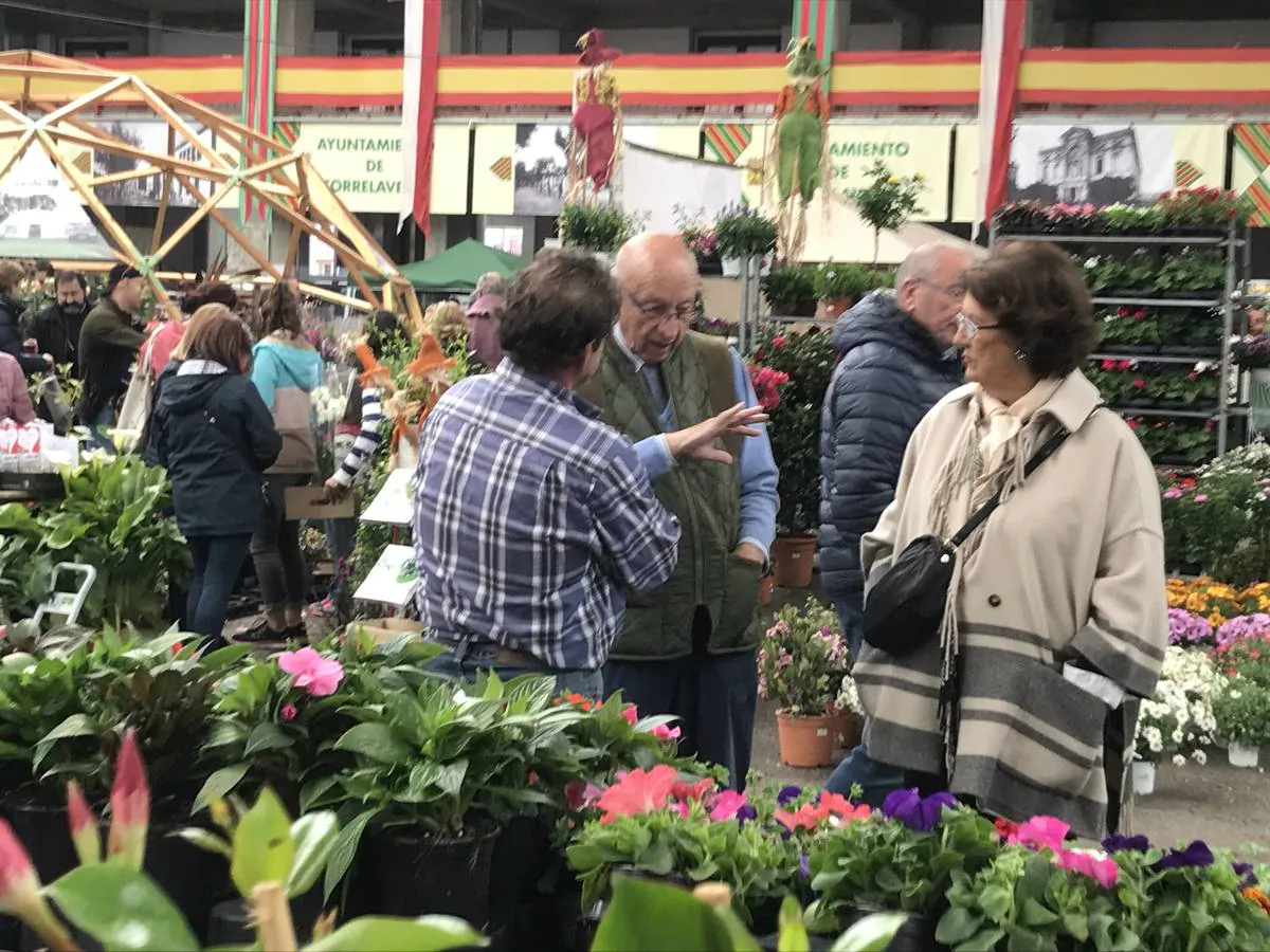 El Mercado Nacional de Ganados se convierte este fin de semana en un gran vivero de árboles y plantas, que transforman el ferial de Torrelavega en un espacio verde.