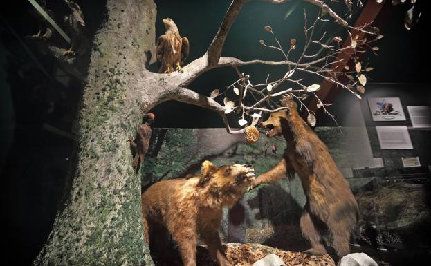 La reforma buscará fomentar el conocimiento de la naturaleza y la ciencia.