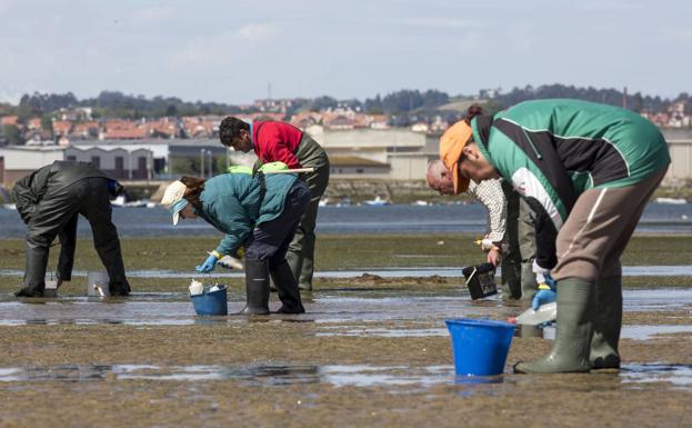 Mariscadores en la bahía de Santander.