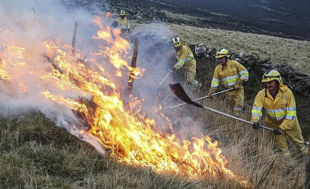 El periodo de alerta por incendios forestales termina con 360 menos que el año pasado