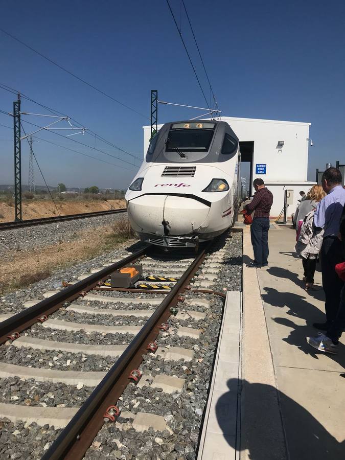 Fotos realizadas por pasajeros del Alvia Santander-Madrid tras bajarse en Villamuriel de Cerrato (Palencia) después del atropello de dos terneros ocurrido en Molledo