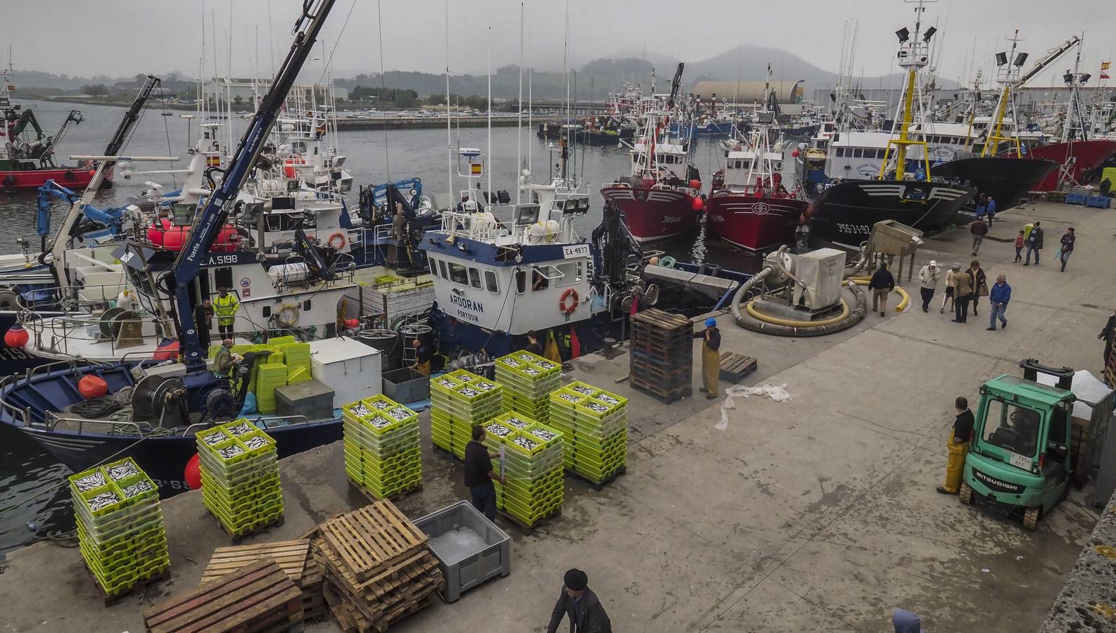 Fotos: Entra en las lonjas de Cantabria un millón de kilos de bocarte