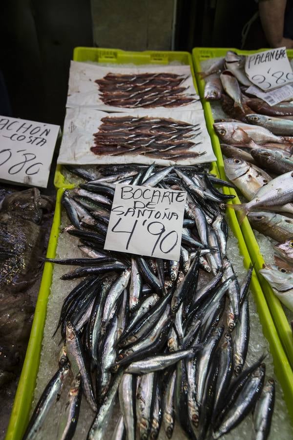 Fotos: El bocarte llega a la plaza