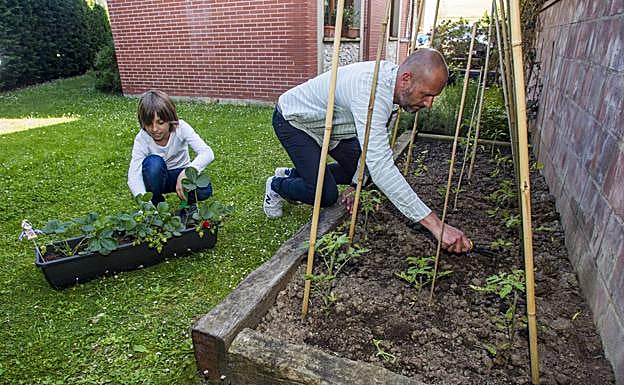 Entre calabacines, tomates y fresas, padre e hijo trabajan juntos en la huerta como una forma de educar respeto al medio ambiente.