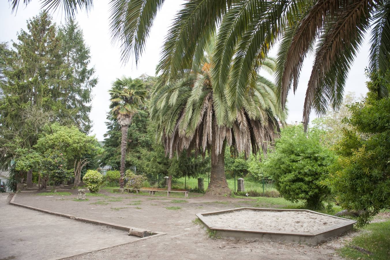 Fotos: La escuela Waldorf Cantabria