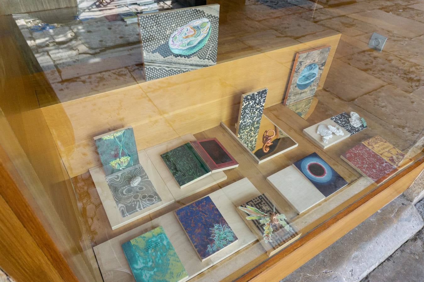 TIENDA: Librería Gil, Plaza del Pombo ARTISTA: Álvaro González