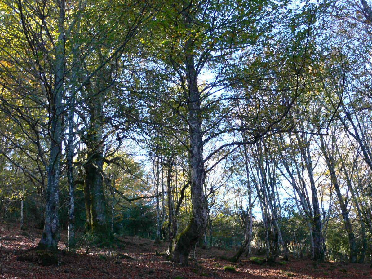 La marcha de los árabes permitió a los pobladores de la montaña ocupar un territorio rico en paisajes que hoy alberga aldeas con encanto y atractivos museos