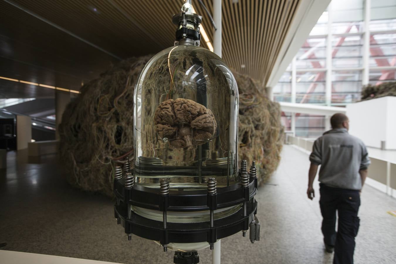 Fotos: Así es el Museo de la Evolución Humana y el parque arqueológico de Atapuerca