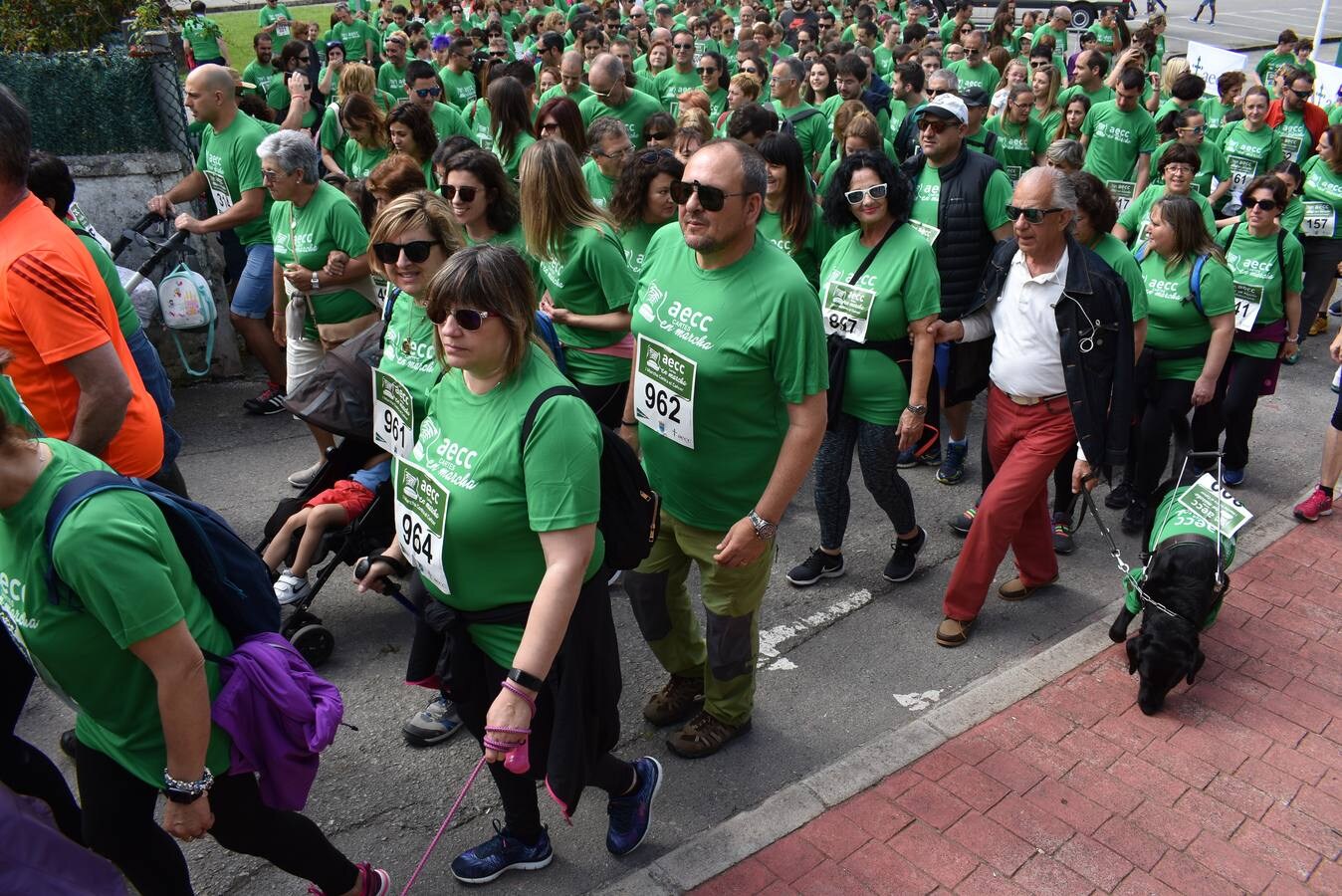 Fotos: Multitudinaria marcha contra el cáncer celebrada en Cartes