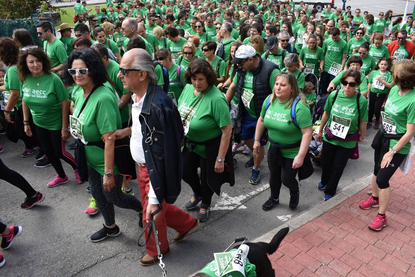 Fotos: Multitudinaria marcha contra el cáncer celebrada en Cartes