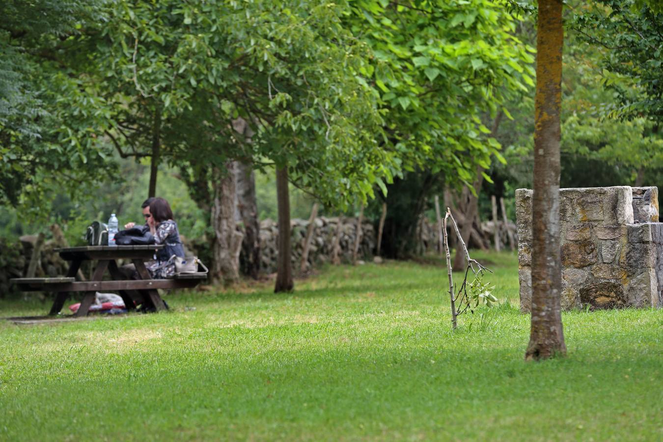 Fotos: Árboles completamente destrozados en el área recreativa de Terán