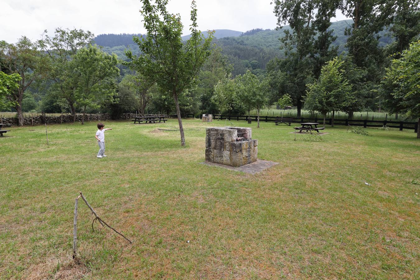 Fotos: Árboles completamente destrozados en el área recreativa de Terán