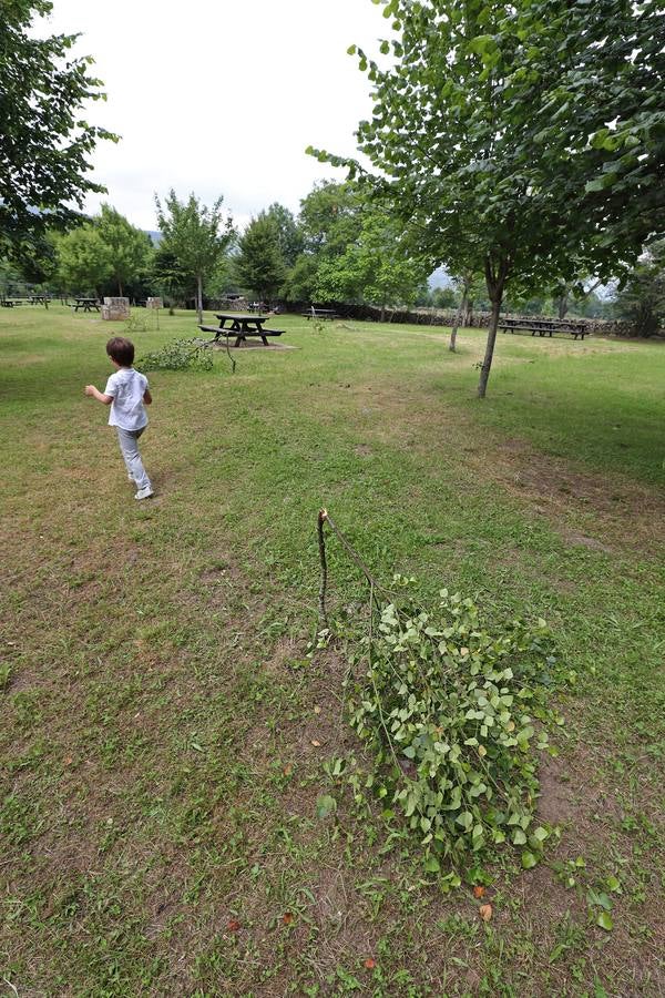 Fotos: Árboles completamente destrozados en el área recreativa de Terán