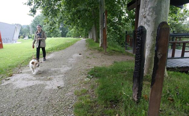 Los usuarios de la senda fluvial del Saja-Besaya denuncian su progresivo «abandono»