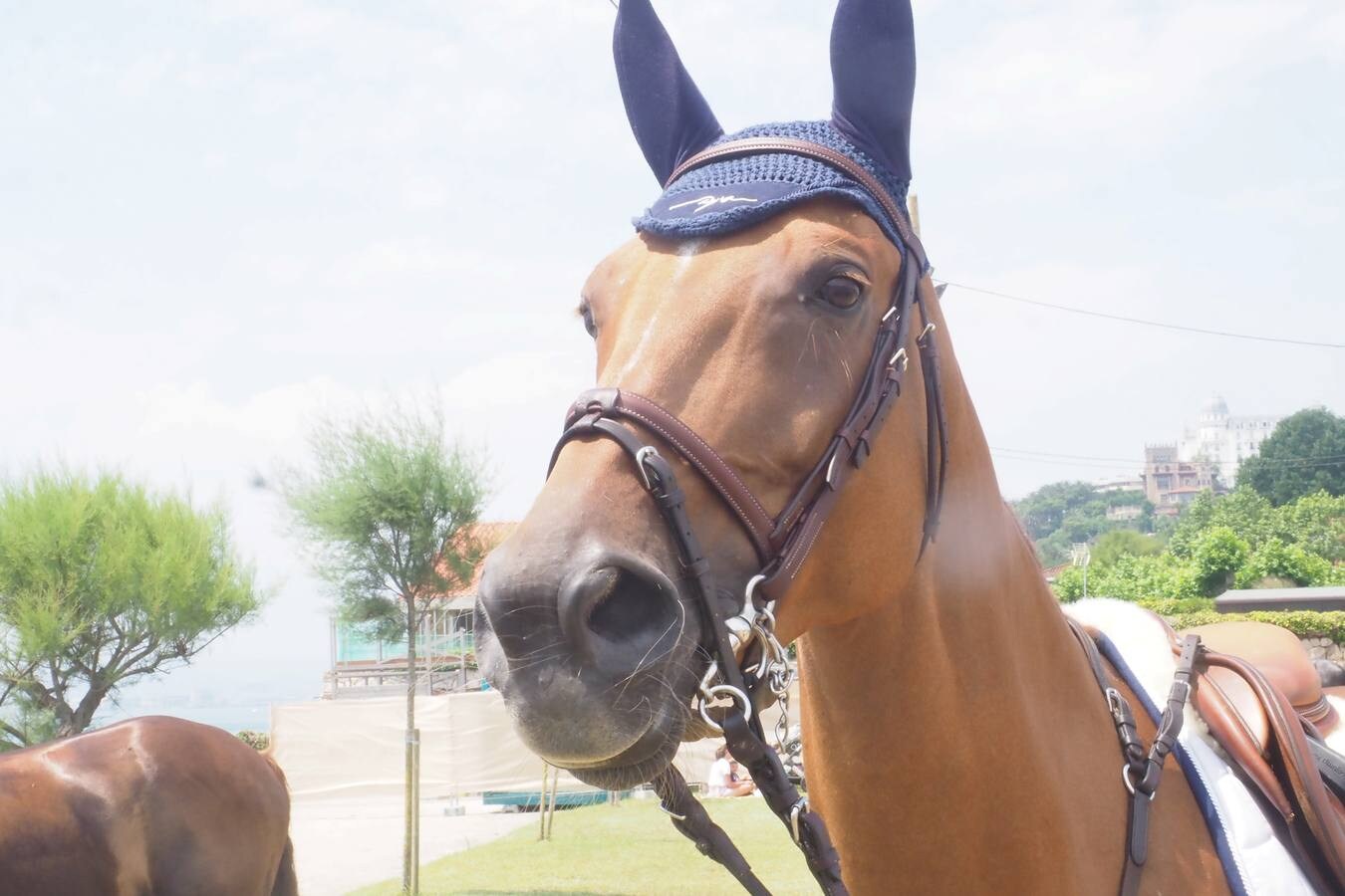 El tradicional Concurso Hípico de Santander vuelve a celebrarse en la campa de La Magdalena. 