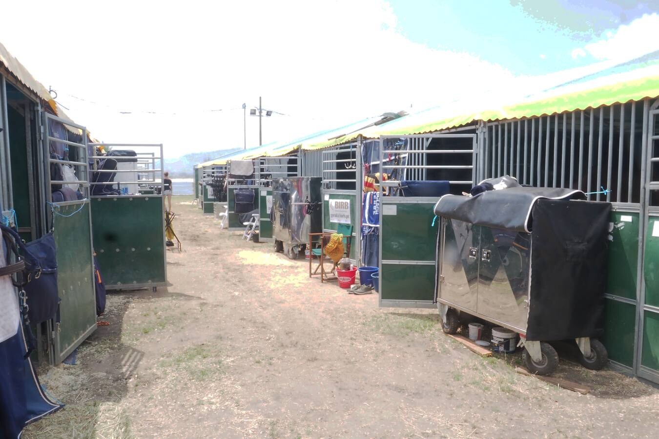 El tradicional Concurso Hípico de Santander vuelve a celebrarse en la campa de La Magdalena. 