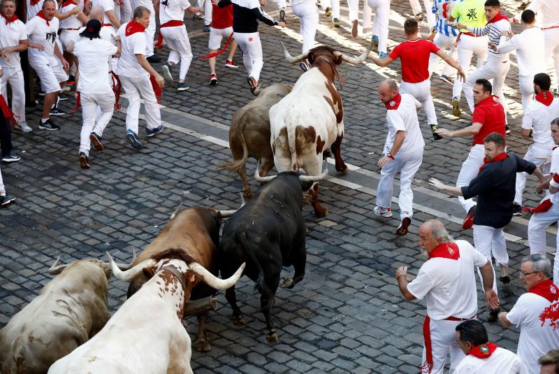 Los astados protagonizan una carrera rápida con algunos momentos de tensión