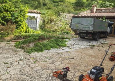 Imagen secundaria 1 - A la derecha, imagen de la finca donde se realizaban los trabajos. A laderecha, nido donde se encontraba la colonia de avispas asiáticas.