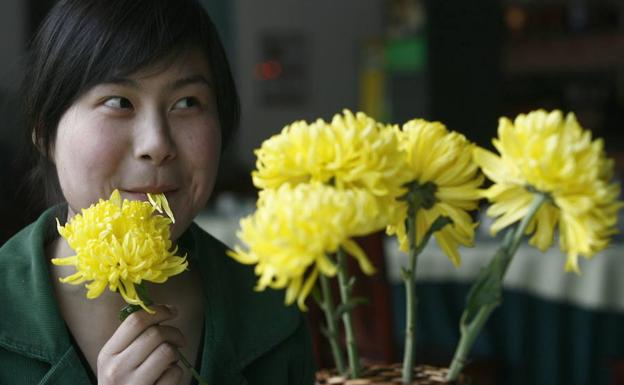 Una clienta come flores de crisantemo en un restaurante de China.