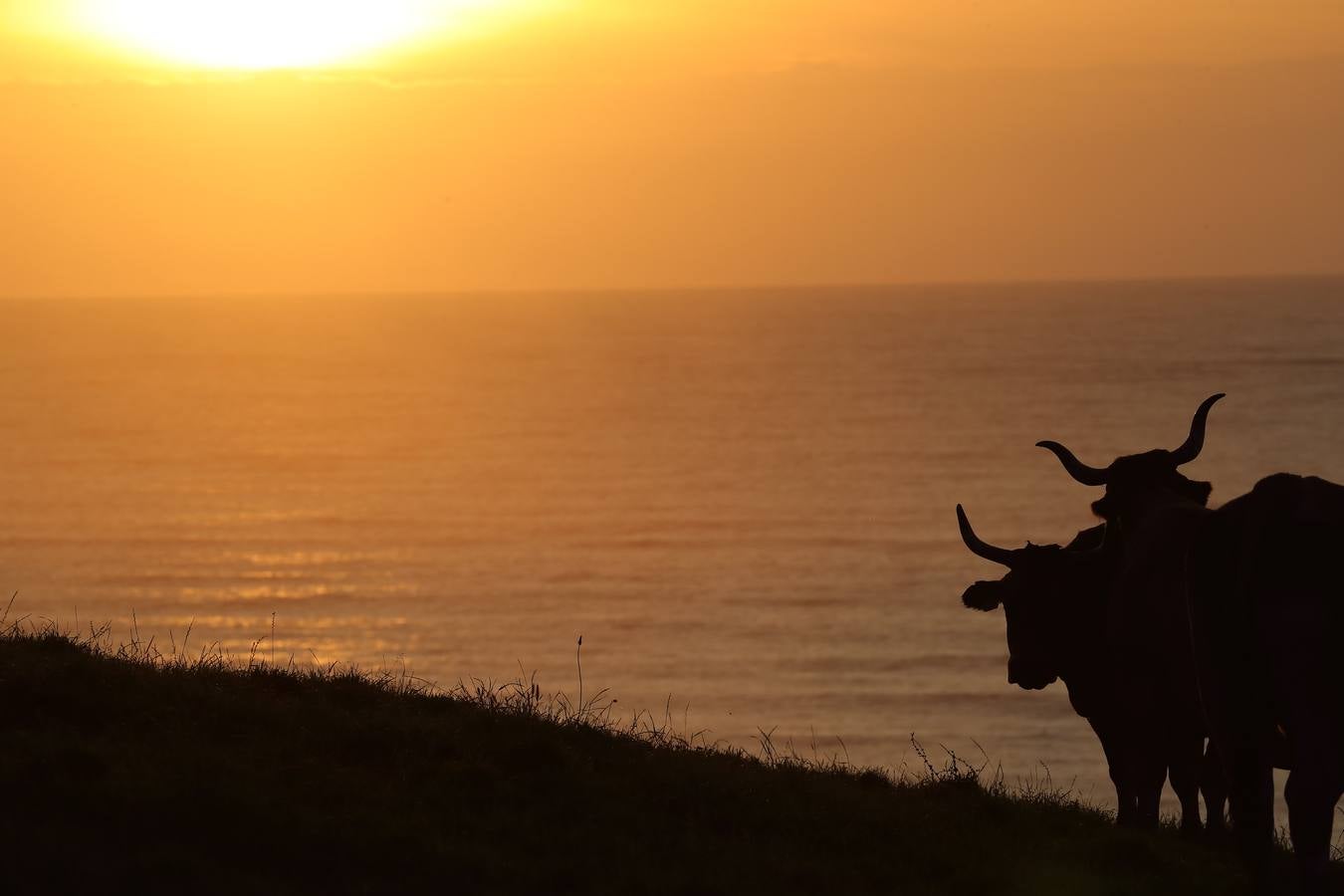 Fotos: Las temperaturas superan los 30 grados en varios puntos de Cantabria