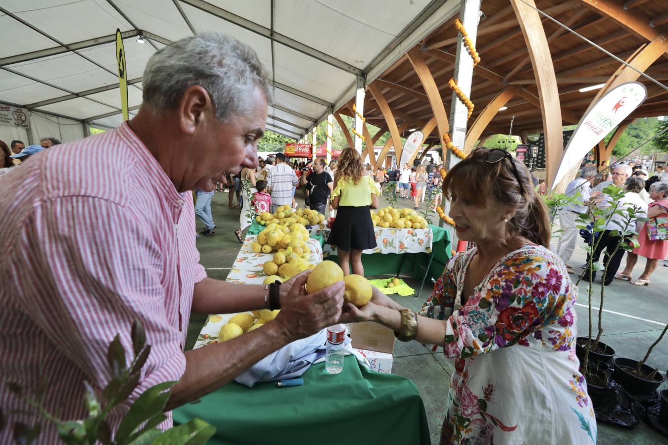 Fotos: La fiesta solidaria de los limones en Novales