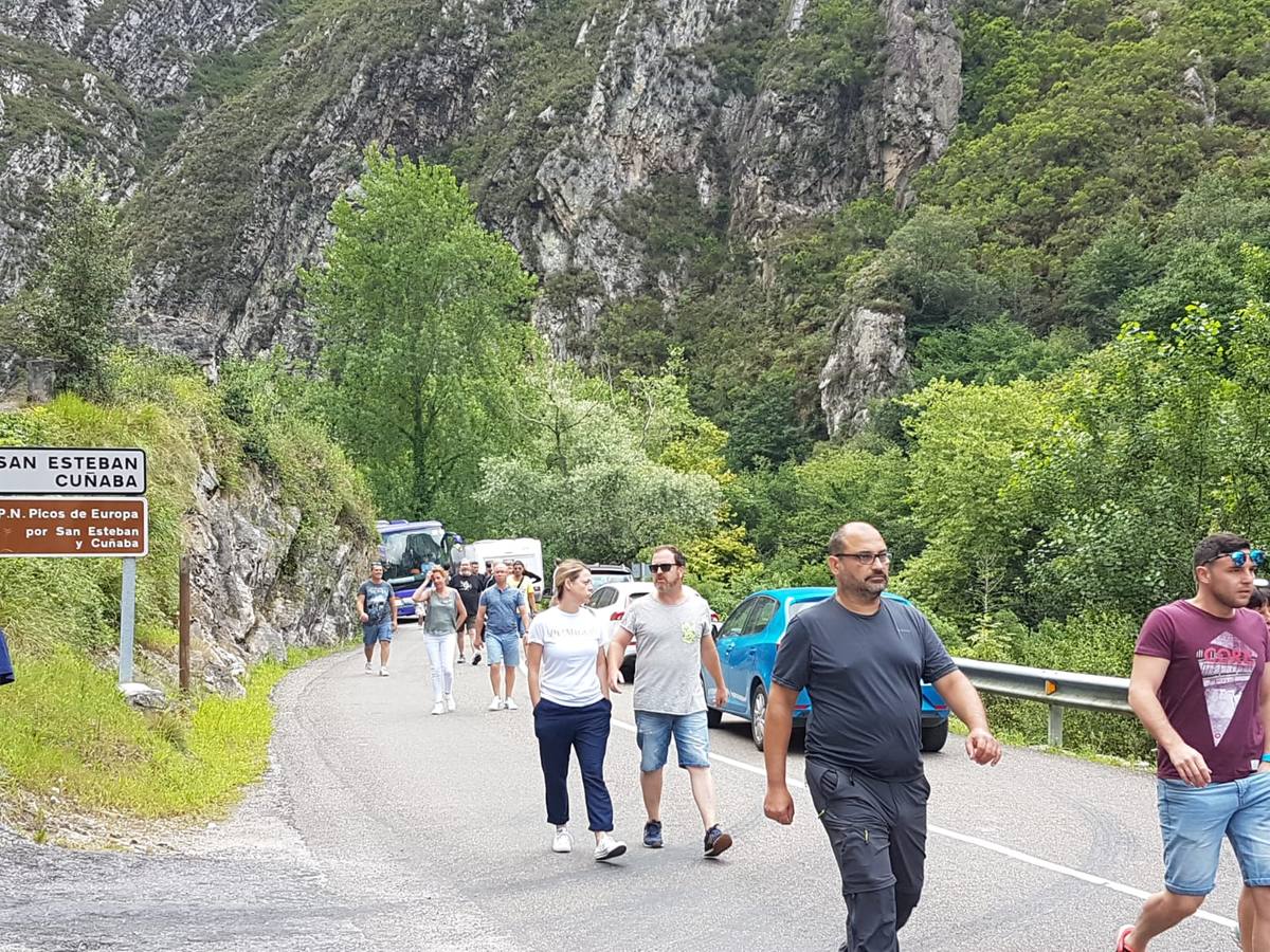 Fotos: Un accidente leve colapsa el desfiladero de la Hermida