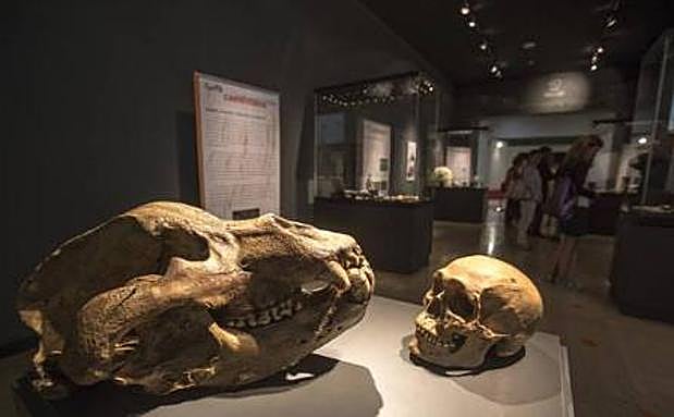 Nuevo taller del Mupac para acercarse al Paleolítico en familia