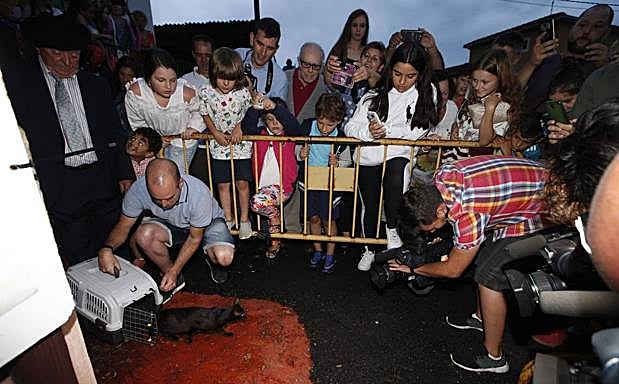 Y Carasa volvió a soltar a su gata negra