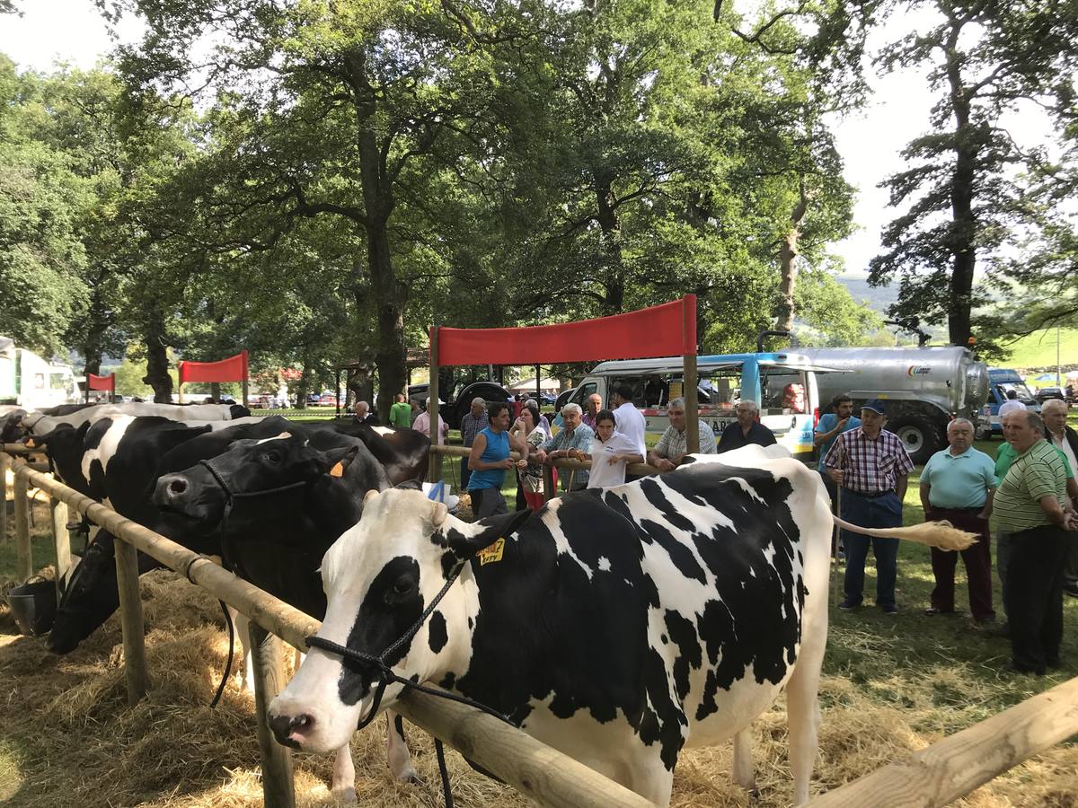 Numeroso público en la feria