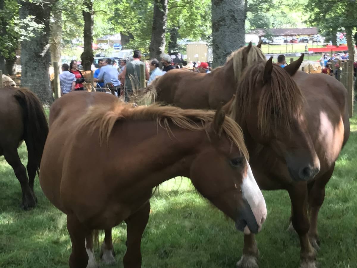 Numeroso público en la feria