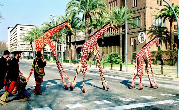 Las jirafas de los catalanes Xirriquiteula Teatre recalan en la Muestra.