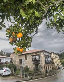 Imagen secundaria 2 - A la búsqueda del &#039;Pueblo de Cantabria&#039;