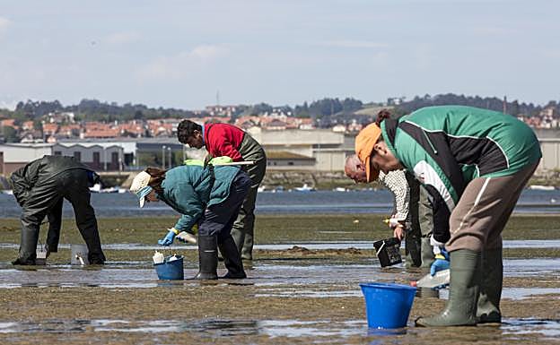 Mariscadores de La Campanuca, en la bahía de Santander.