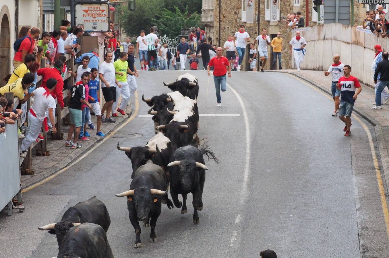 Fotos: Imágenes del primer encierro de las fiestas de Ampuero