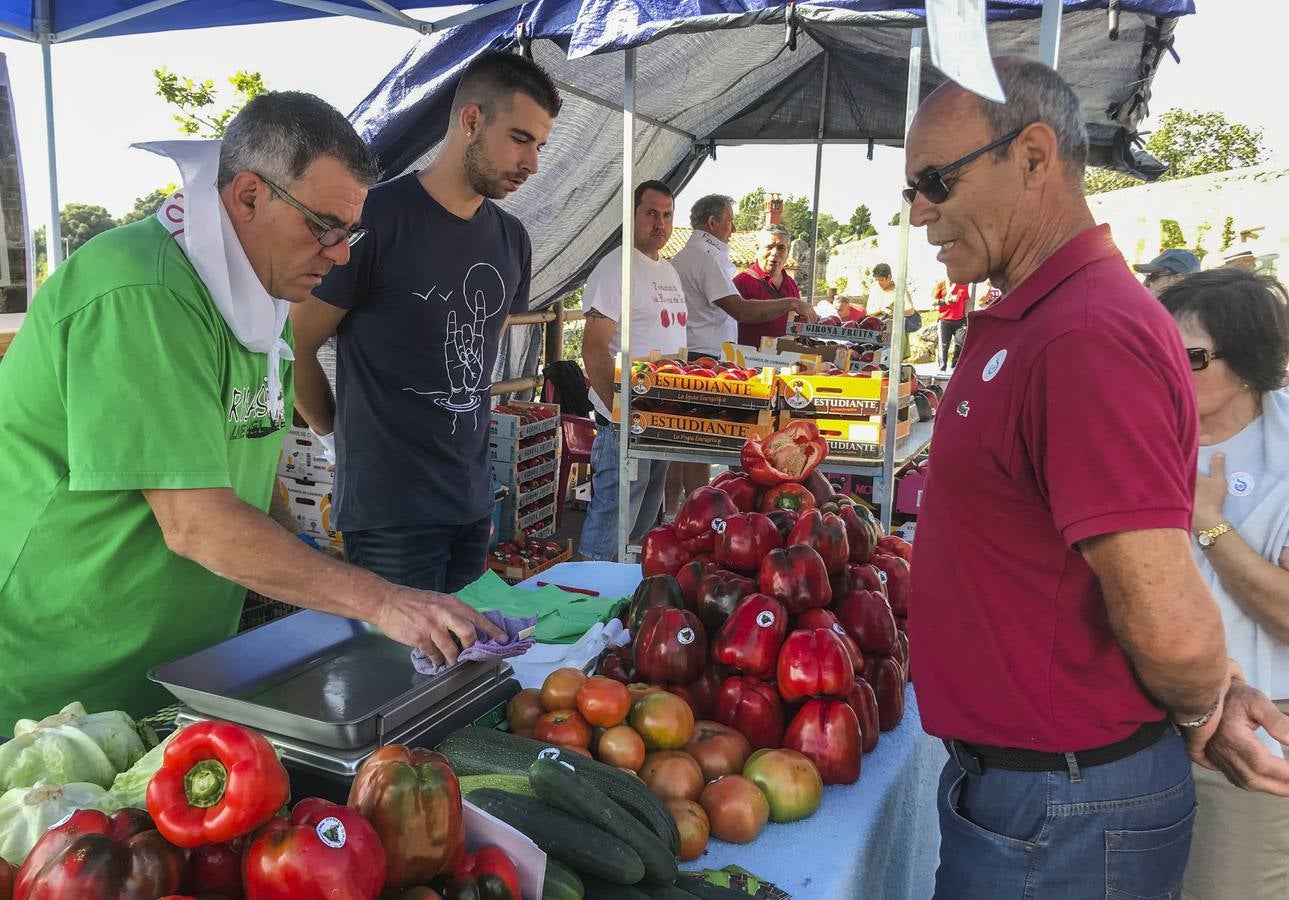 Fotos: La VI Feria del Pimiento de Isla arranca hoy