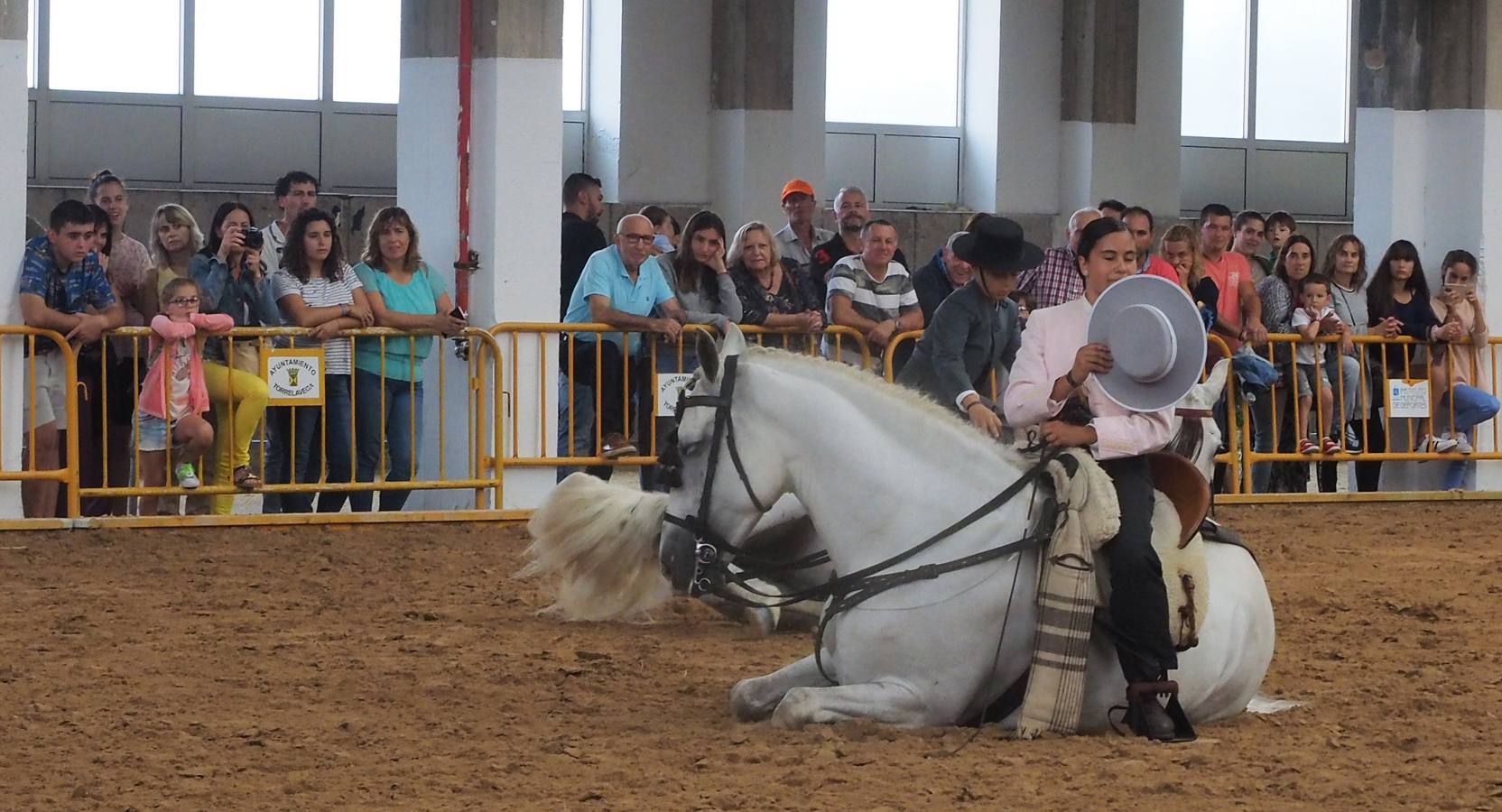 Fotos: Santos Pereira y Francisco Carrera ganan el concurso de caballos