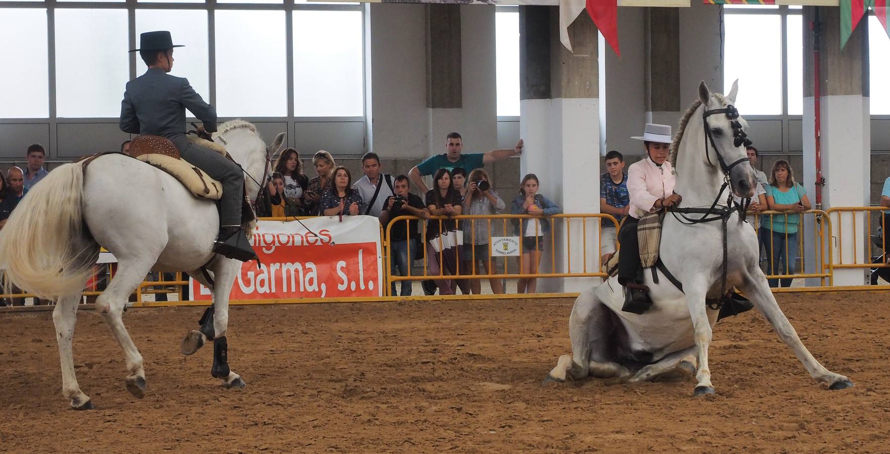 Fotos: Santos Pereira y Francisco Carrera ganan el concurso de caballos