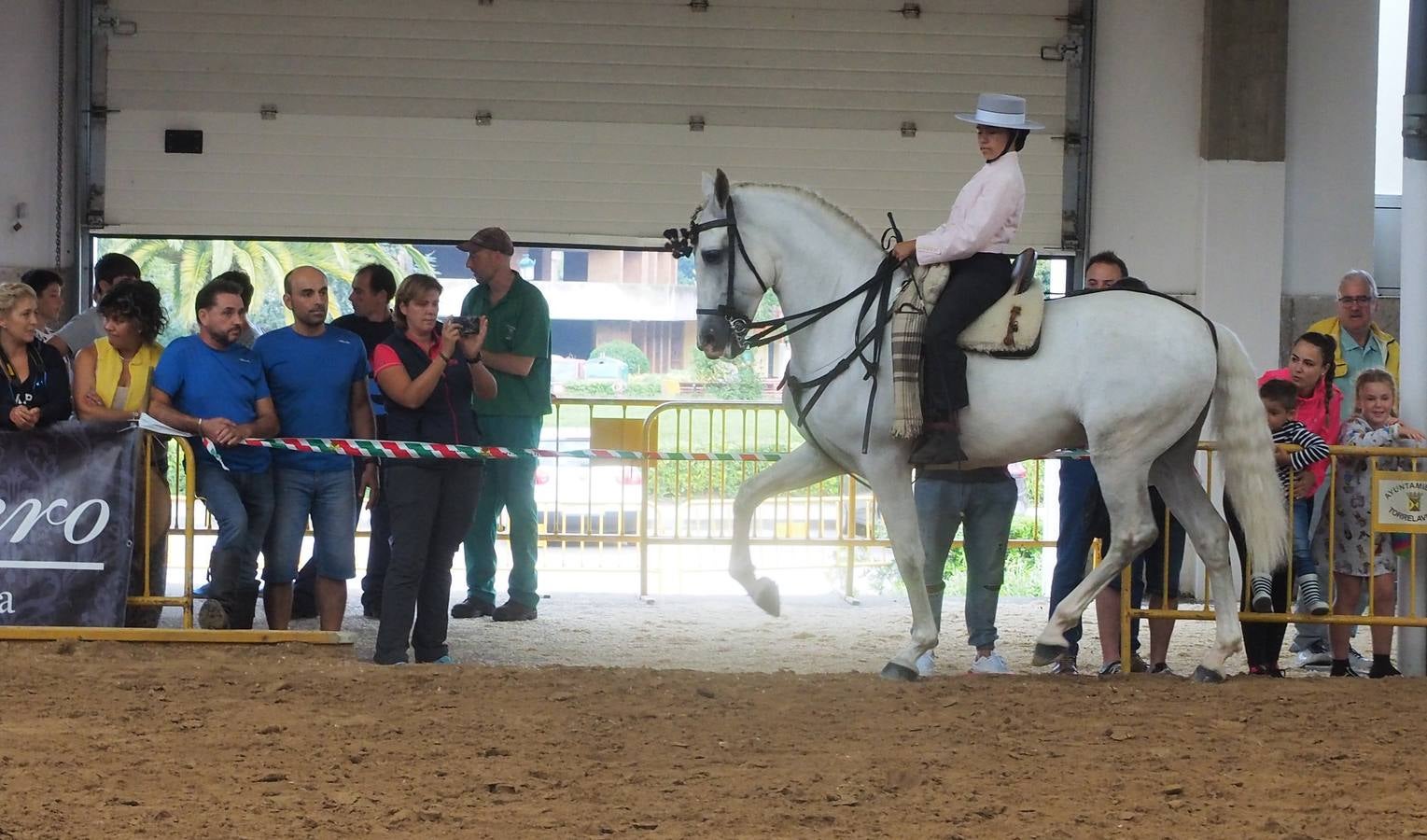 Fotos: Santos Pereira y Francisco Carrera ganan el concurso de caballos