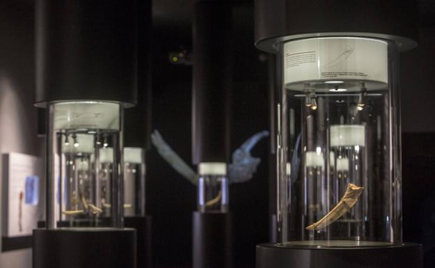 El Mupac, un museo en busca de destino.